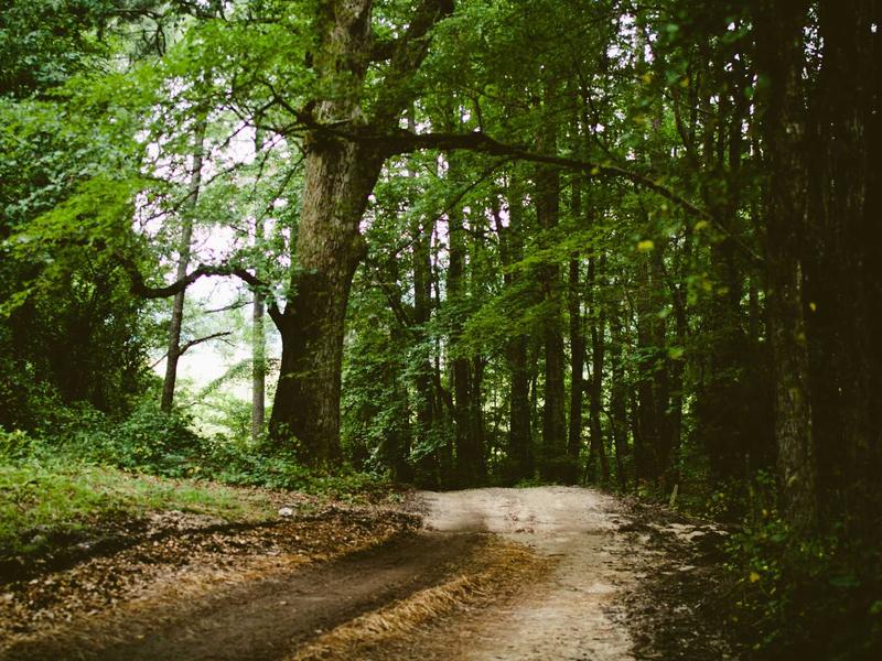 sudoku irregular boxes